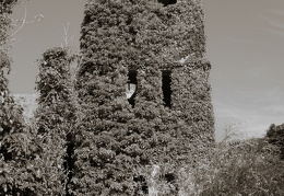 Wissant