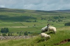 England
