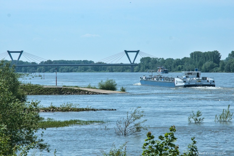 Rhein bei Kaiserswerth