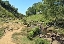 Brontë Falls